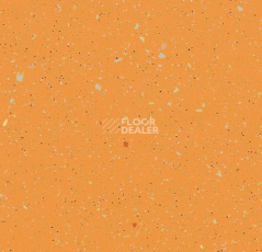 Линолеум Forbo SureStep Original 172932 tangerine фото 1 | FLOORDEALER